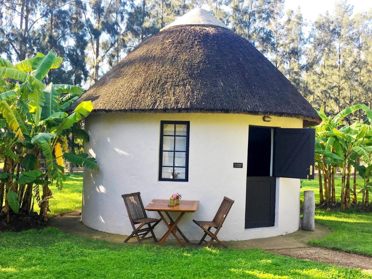 Addo African Home ภายนอก รูปภาพ